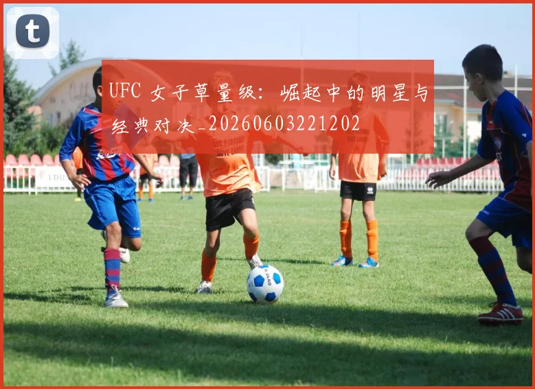 UFC 女子草量级:崛起中的明星与经典对决_20260603221202